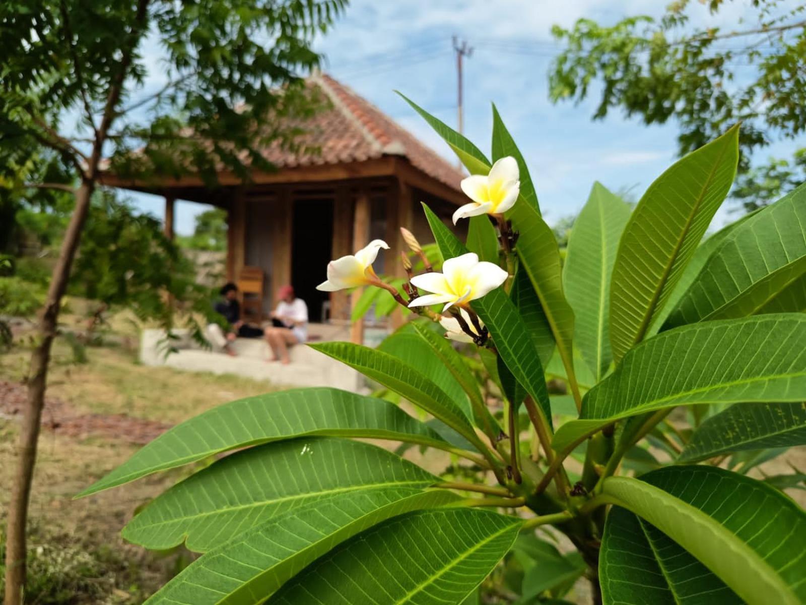 Hotel Melody Surf - Ekas Lombok Exteriér fotografie